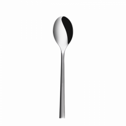 Dessert Spoon - Living all mirror