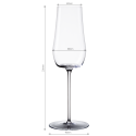 Champagner-Glas 220 ml Set 2-tlg. - Green Wave Glas Lunasol