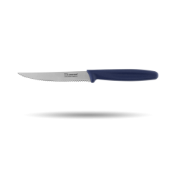 Steak Knife with serration - Master Blue