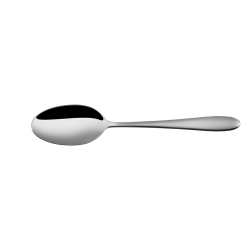 Table Spoon - Turin all mirror